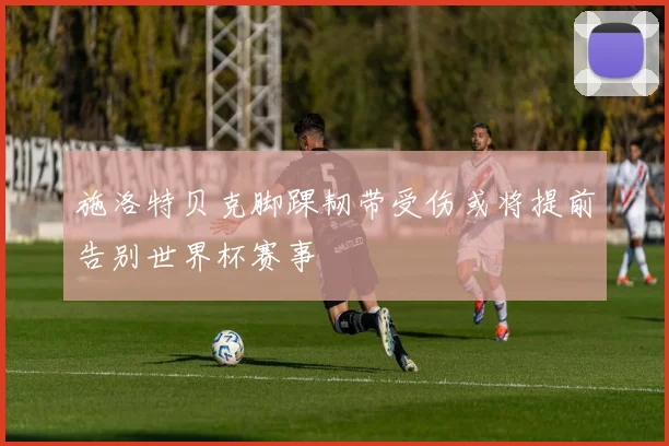 施洛特贝克脚踝韧带受伤或将提前告别世界杯赛事