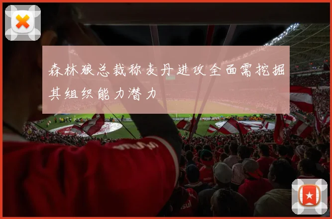 森林狼总裁称麦丹进攻全面需挖掘其组织能力潜力
